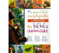 Hae - jeu De Société - Ma 1 Ere Encyclo Bebe Animaux