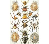 Haeckel Scientific Biological