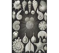 Haeckel Scientific Biological Art Notebook: Vintage Science Illustrations N°02 From "Kunstformen Der Nature" / "Art Forms In Nature"; Composition Jour