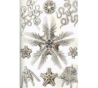 Haeckel Scientific Biological Art Notebook: Vintage Science Illustrations N°10 From "Kunstformen Der Nature" / "Art Forms In Nature"; Composition Jour