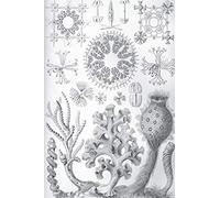 Haeckel Scientific Biological Art Notebook: Vintage Science Illustrations N°35 From "Kunstformen Der Nature" / "Art Forms In Nature"; Composition Jour