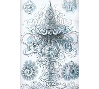 Haeckel Scientific Biological Art Notebook: Vintage Science Illustrations N°37 From "Kunstformen Der Nature" / "Art Forms In Nature"; Composition Jour