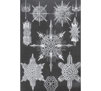 Haeckel Scientific Biological Art Notebook: Vintage Science Illustrations N°41 From "Kunstformen Der Nature" / "Art Forms In Nature"; Composition Jour