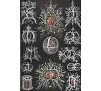 Haeckel Scientific Biological Art Notebook: Vintage Science Illustrations N°71 From "Kunstformen Der Nature" / "Art Forms In Nature"; Composition Jour