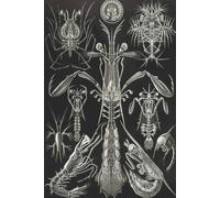 Haeckel Scientific Biological Art Notebook: Vintage Science Illustrations N°76 From "Kunstformen Der Nature" / "Art Forms In Nature"; Composition Jour