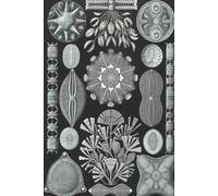 Haeckel Scientific Biological Art Notebook: Vintage Science Illustrations N°83 From "Kunstformen Der Nature" / "Art Forms In Nature"; Composition Jour