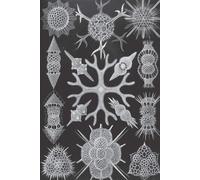 Haeckel Scientific Biological Art Notebook: Vintage Science Illustrations N°91 From "Kunstformen Der Nature" / "Art Forms In Nature"; Composition Jour
