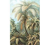 Haeckel Scientific Biological Art Notebook: Vintage Science Illustrations N°92 From "Kunstformen Der Nature" / "Art Forms In Nature"; Composition Jour