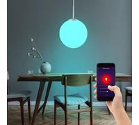 Hägeleuchte Lampe Suspension Boule Commande Vocale Minuteur Dimmable RGB LED