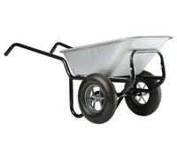 Haemmerlin Brouette Haemmerlin en acier galvanisé 150L / 200 kg - Expert Twin - 306015201