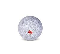 HAEST Trial New Nemo Médecine ball Gris 1,5 kg
