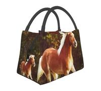 Haflin ger Sacs à repas thermiques isolés pour chevaux femmes Conteneur réutilisable pour animaux Camping, voyage Repas multifonction Boîte alimentaire