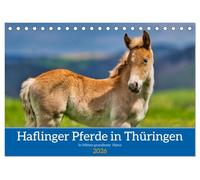 Haflinger Pferde in Thüringen (Tischkalender 2026 DIN A5 quer), CALVENDO Monatskalender: Die schönsten Pferde in grandioser Thüringer Natur