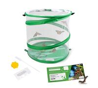 Hagemann Kit de Culture de Papillons pour débutant (avec Bon pour 5 à 7 chenilles) | Observez Le développement de la Chenille au Papillon de Chardon indigène | Matériel d'apprentissage Inclus