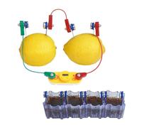 Hagemann Kit d'expérimentation de batterie au citron pour enfants à partir de 8 ans | Générer de l'électricité avec des fruits | Avec module LED, son et horloge | Kit de menthe pour l'école, les