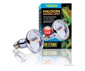 HAGEN Exo Terra sun glo 100 W ampoule halogène