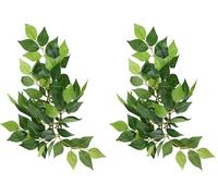 Hagen Exoterra Décoration Ruscus Plante Petit Modèle pour Reptiles et Amphibiens (Lot de 2)
