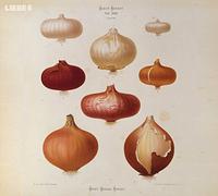 Hagen Rether - Liebe 6: Wortart