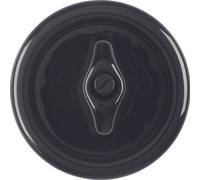 Hager Berker 1930 Porcelain Control Element/Central Plate Switchgear - 16476500