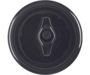 Hager Berker 1930 Porcelain Control Element/Central Plate Switchgear - 16476500