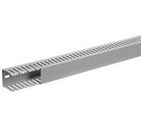 Hager DNG5005007030B Goulotte de câblage (L x l x H) 2 m x 50 mm x 50 mm 2 m gris roche