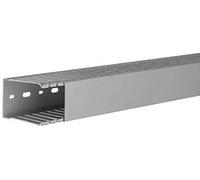 Hager DNG7505007030B Goulotte de câblage (L x l x H) 2 m x 50 mm x 75 mm 2 m gris