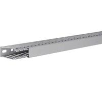 Hager Goulotte de câblage BA760025 (L x l x h) 2000 x 25 x 60 mm 1 pc(s) Gris Roche