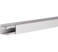 Hager Goulotte de câblage (L x l x H) 2000 x 40 x 60 mm HA760040 1 pce Gris clair (HA760040)