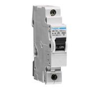 hager Hager Disjoncteur unipolaire B-10A, 25kA MB197 Quantité:1