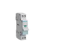 HAGER HAGER SBN216 - NON AUTOMATIQUE 2 POLES INTERRUPTEUR 16A MOD 1