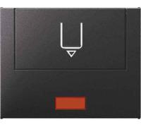 Hager K1 - plaque Central Hôtel Card Anthracite