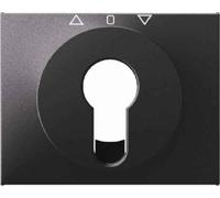 Hager K1 - Plaque centrale avec verrou anthracite