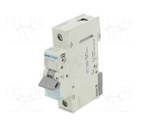 HAGER MBN163E Disjoncteur
