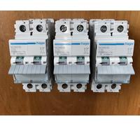 HAGER NCN513 DISJONCTEUR BIPOLAIRE 13AMPERES 2POLES PROTEGES 13A COURBE C, 10KA