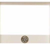 Hager S1 - Plaque centrale prise tAE Gloss Blanc