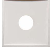 Hager S1 - Plaque pour Ackermann 73070 A Blanc polaire brillant