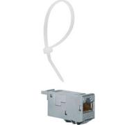 Hager VU603NWH Module RJ45 encastrable E-Dat CAT 6a