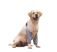 HAGJII Coudière pour Chien pour Une Protection ExtrêMe Contre Les Callosités Attelle D'épaule Ajustable Protège-Coude pour Chien pour Pattes Avant Chien Coude Protecteur(XXL,C)