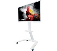 Hagor 5787 Hagor ST SA Flip II 55" Standfuss für Samsung FLIP (Speditionsversand)
