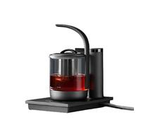 HAGTRB LJFLI Electric Kettle Glass TEAPER Maker BOULION Eau Boule