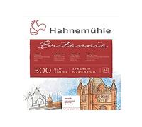 Hahnemühle 10628983 Bloc aquarelle, calligraphie, certificats et cartes postales, 300 g, 12 feuilles
