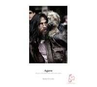 Hahnemühle Agave 290g • A3+ (25 feuilles)
