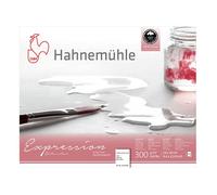 Hahnemühle - Bloc aquarelle grain fin Expression 300 g/m² 20F