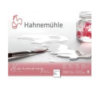 Hahnemuhle Harmony Watercolour Block,12 sheets, 24x30cm NOT