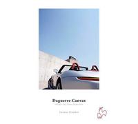 Hahnemühle Daguerre Canvas 400 g/m² - 17 x 12 mètres