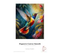 Hahnemühle Daguerre Canvas Smooth 420 g/m² - 60 x 12 mètres