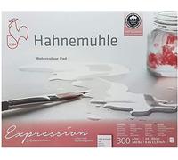Hahnemühle Expression Bloc aquarelle 20 feuilles 300 gr,24 x 30cm 100% coton,Moulin du coq made in Germany