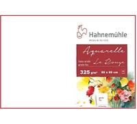 Hahnemühle Moulin Du Coq 10 Feuilles Papier Aquarelle 325g 50x65cm
