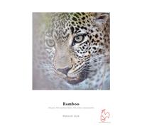Hahnemühle Papier Bamboo Fine Art 290 g 24 pouces