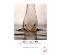 Hahnemühle Photo Luster 290 g/m² - 44 x 30 mètres